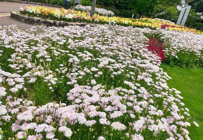 季節の花がたくさん！