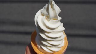 谷根千の街歩きで気軽に利用できるお店です