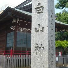 練馬白山神社の標石柱です。鳥居の横にあり、広い境内の前です。