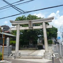 練馬白山神社の入口の鳥居と境内の様子です。広い境内です。