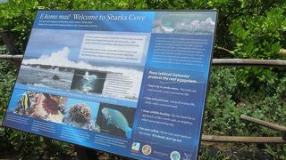 オアフ島随一のシュノーケリングスポットとして評価が高いシャークスコーブ