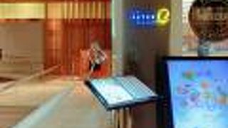 オイスターを食べに