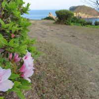 山上の見晴らし台からは紀の松島が見えていました。