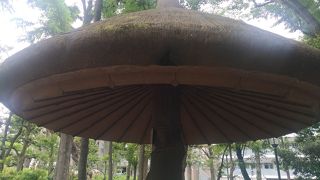 新しくなっていた！