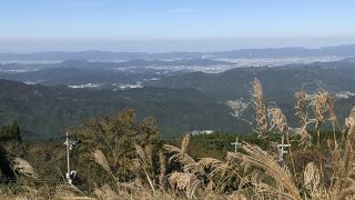 一面のススキ野原