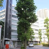 ビルの谷間に埋まっていてわかりにくいです。