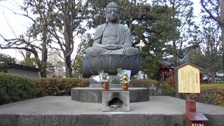 どっしり安定感のあるお姿☆