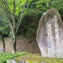 緑に囲まれた公園です。