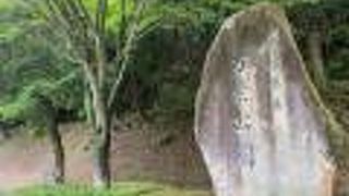 緑に囲まれた広大な公園