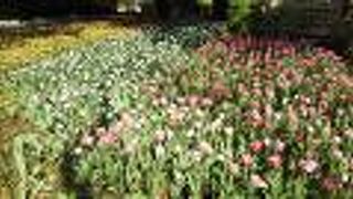 少しだけ心が癒されました