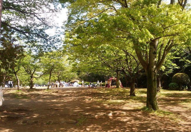 緑が豊かな公園