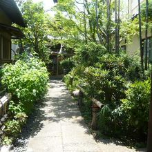 宗周院の参道です。緑に囲まれた中を、奥に方に、進みます。