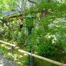 迎接院の参道の右側の樹々です。木洩れ陽が、清々しい趣です。