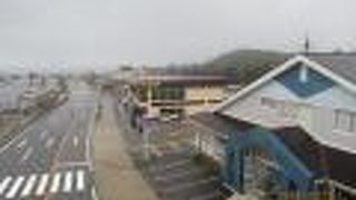 ラクダに乗れる場所です