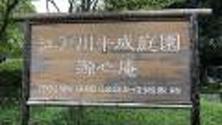 日本庭園は綺麗