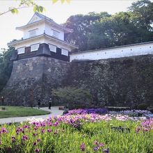 玖島城板敷櫓と石垣、手前が花菖蒲咲き乱れる花菖蒲園