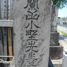小野蘭山の墓石です。練馬十一ケ寺迎接院の墓地区画にあります。