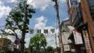 宮川沿いを散歩