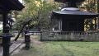 杉木立の中の古刹