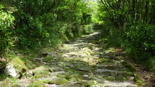 難所を越えてきた旅人にとっては一息つける下り坂