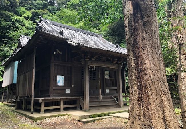 熊野神社 鎌倉市手広 クチコミ アクセス 営業時間 鎌倉 フォートラベル 熊野神社 鎌倉市手広 クチコミ アクセス 営業時間 鎌倉 フォートラベル