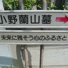 小野蘭山の墓所までは、途中に、案内板があるため解り易いです。