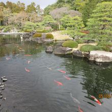 風情ある池と庭園