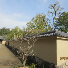 時代劇で使われると思われる庭の間の通り