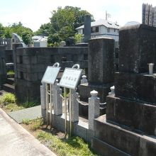 小野蘭山の墓所は、通路沿いにありますので、解り易いです。