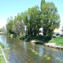 とても牧歌的な景色です