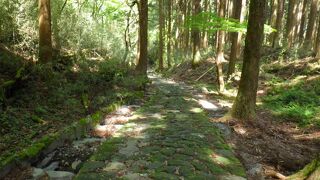 「権現坂」→「馬子唄の碑」→「甘酒茶屋」と歩いて40分弱