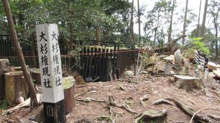 倒れていました