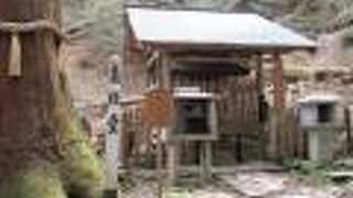 義経の魂を祀っています