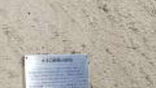 城内巨石ランキング4位、5位、8位