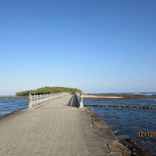 弥生橋と青島の全景