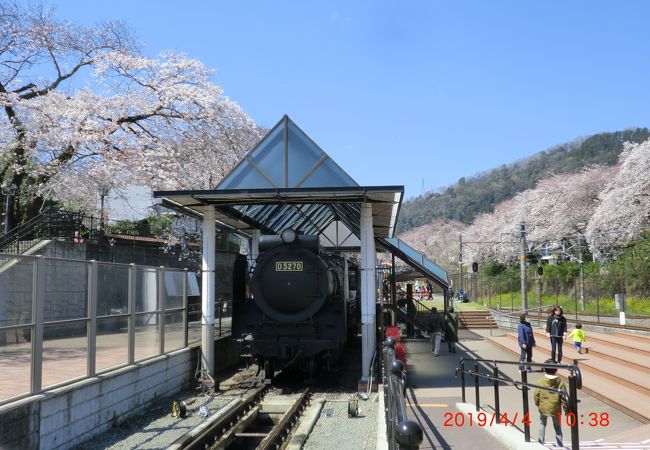 蒸気機関車が見れます