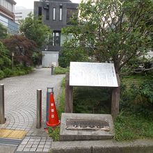 公園の様子です。