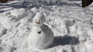 やっと好天に恵まれました。