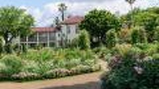 中には入れなかったけどやっぱり素敵