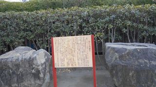 今回初めて発見できました