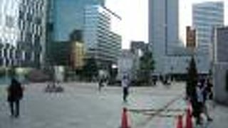 今年は静かです