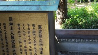 知らないとスルーしちゃいます