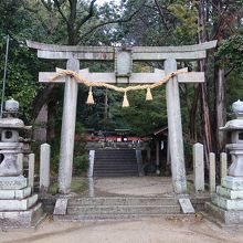 バイパス沿いにある