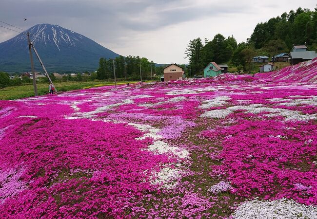 倶知安 くっちゃん のおすすめ観光スポット クチコミ人気ランキングtop13 フォートラベル 北海道 倶知安 くっちゃん のおすすめ観光スポット クチコミ人気ランキングtop13 フォートラベル 北海道