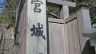 ちょっと早かった