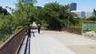 南側から北側に降る坂