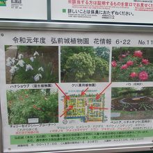 弘前公園植物園の花情報看板