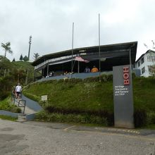 habuの建物、お茶がここで飲めます