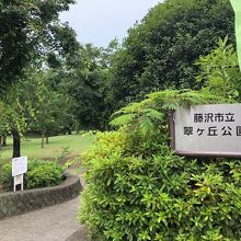 公園の入口から