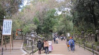 日本の神社って感じ